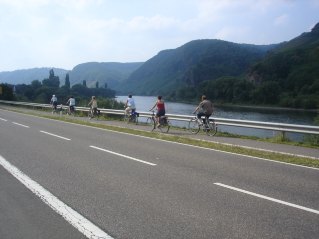 021 - PAYSAGE DES BORDS DE LA MOSELLE 2.JPG